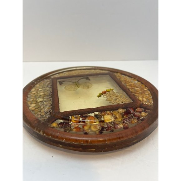 Vintage Pressed Flower Butterfly Seed Bean Corn Round Lucite Hotplate Trivet - Picture 8 of 8